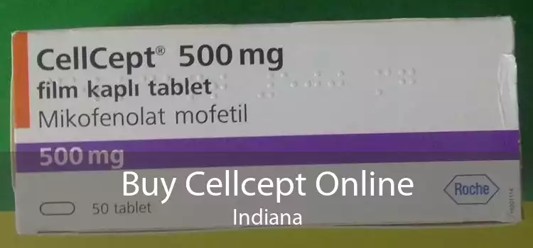 Buy Cellcept Online Indiana