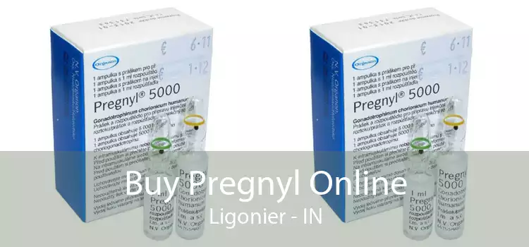 Buy Pregnyl Online Ligonier - IN